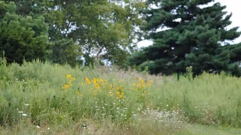 Walnut Hill Park - Columbus, OH