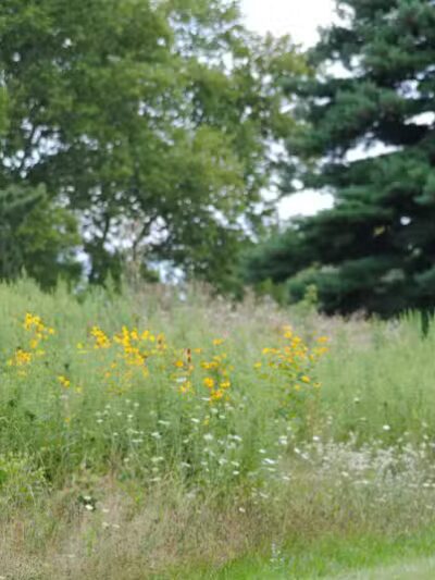 Walnut Hill Park - Columbus, OH