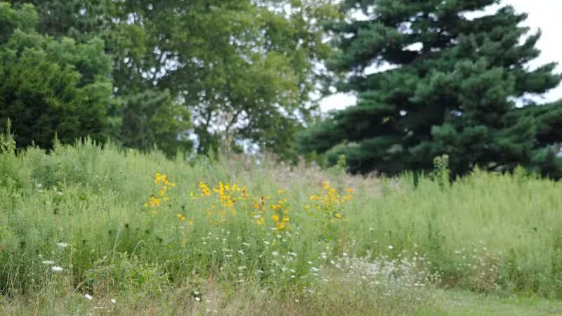 Walnut Hill Park - Columbus, OH