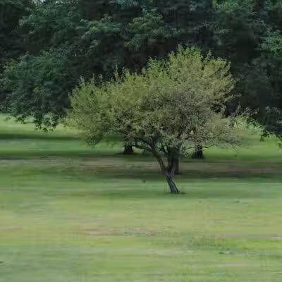 Walnut Hill Park - Columbus, OH