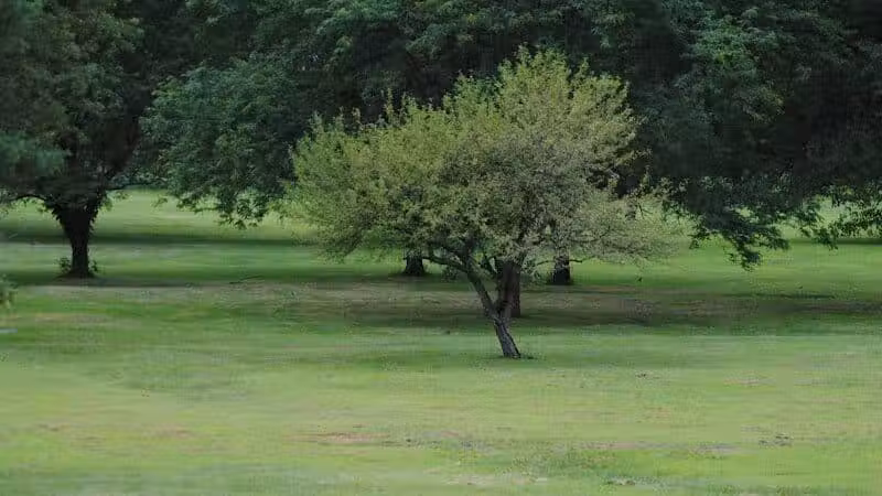 Walnut Hill Park - Columbus, OH