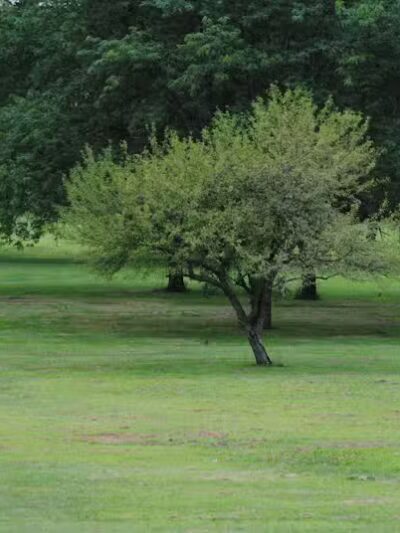 Walnut Hill Park - Columbus, OH