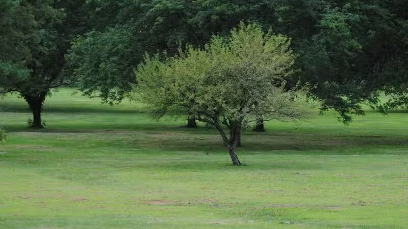 Walnut Hill Park - Columbus, OH