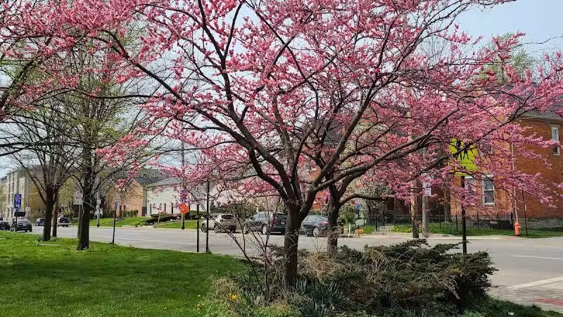 Weinland Park - Columbus, OH