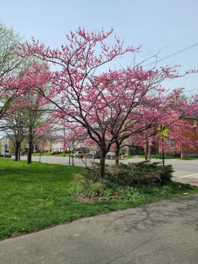Weinland Park - Columbus, OH
