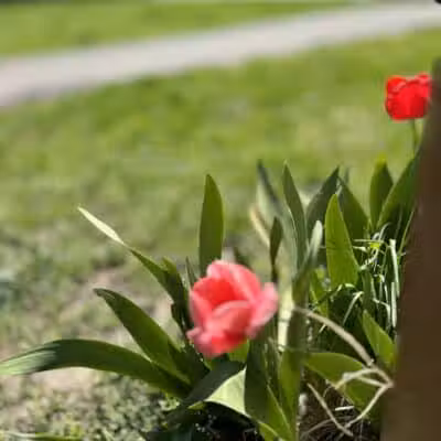 Weinland Park - Columbus, OH