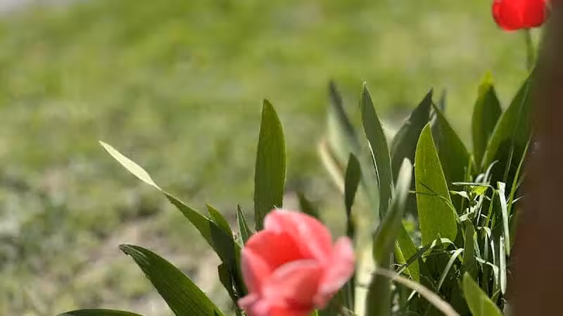 Weinland Park - Columbus, OH