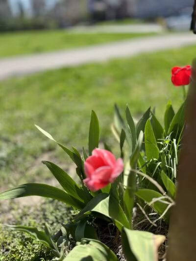 Weinland Park - Columbus, OH