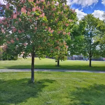 Weinland Park - Columbus, OH