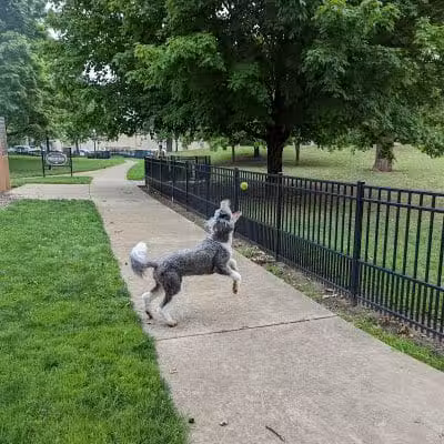 Wheeler Memorial Park - Columbus, OH