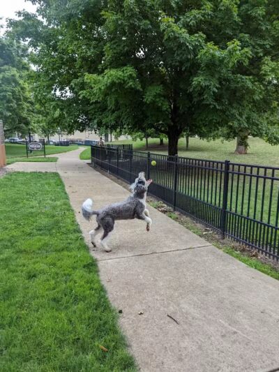 Wheeler Memorial Park - Columbus, OH