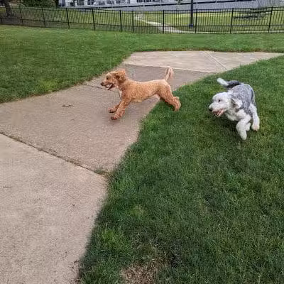 Wheeler Memorial Park - Columbus, OH