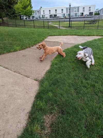 Wheeler Memorial Park - Columbus, OH