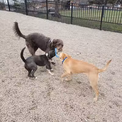 Wheeler Memorial Park - Columbus, OH