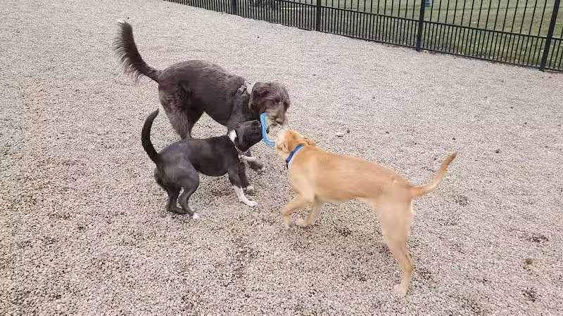 Wheeler Memorial Park - Columbus, OH