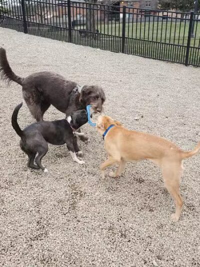 Wheeler Memorial Park - Columbus, OH