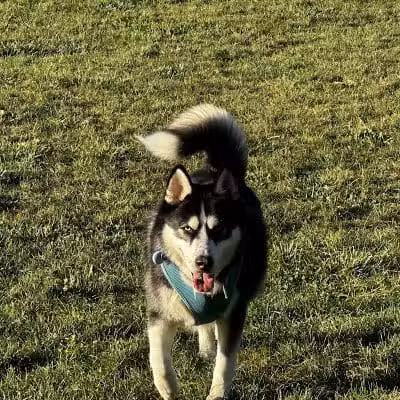 Wheeler Memorial Park - Columbus, OH