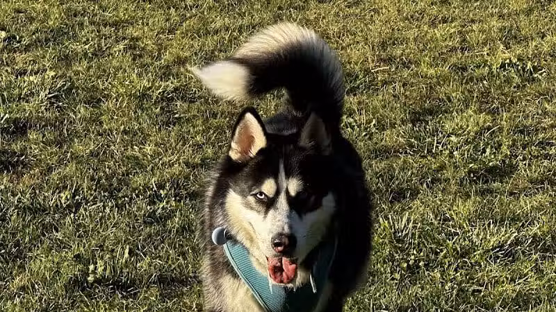 Wheeler Memorial Park - Columbus, OH