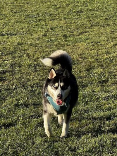 Wheeler Memorial Park - Columbus, OH