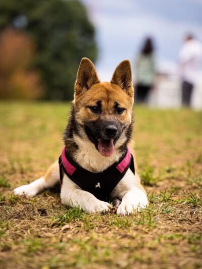 Wheeler Memorial Park - Columbus, OH