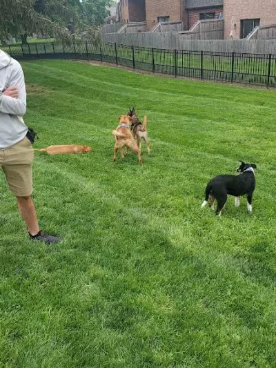 Wheeler Memorial Park - Columbus, OH