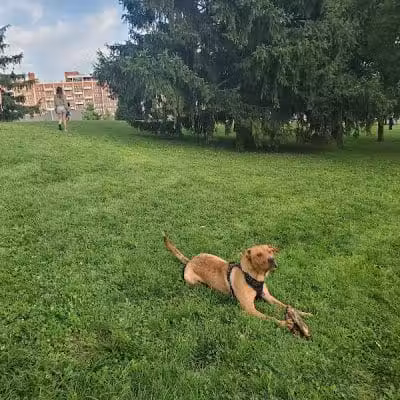 Wheeler Memorial Park - Columbus, OH