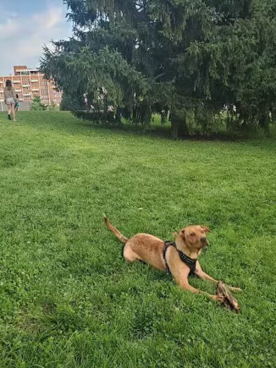 Wheeler Memorial Park - Columbus, OH