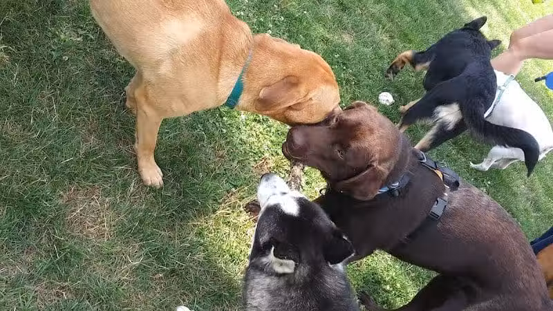 Wheeler Memorial Park - Columbus, OH