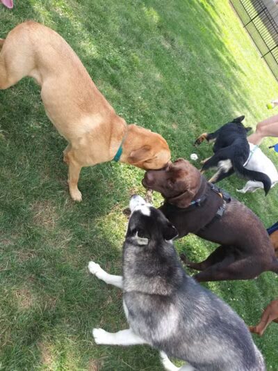 Wheeler Memorial Park - Columbus, OH