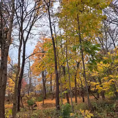 Whitehall Community Park - Columbus, OH