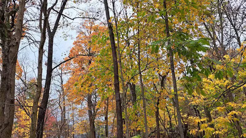 Whitehall Community Park - Columbus, OH