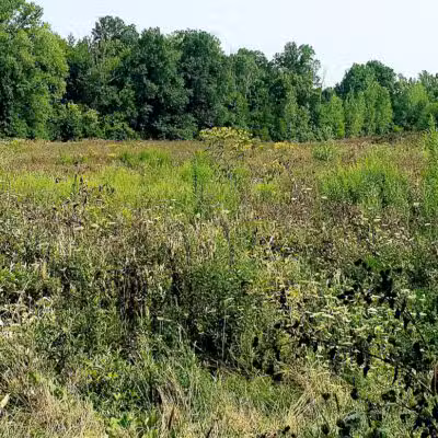 Whitehall Community Park - Columbus, OH