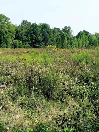 Whitehall Community Park - Columbus, OH