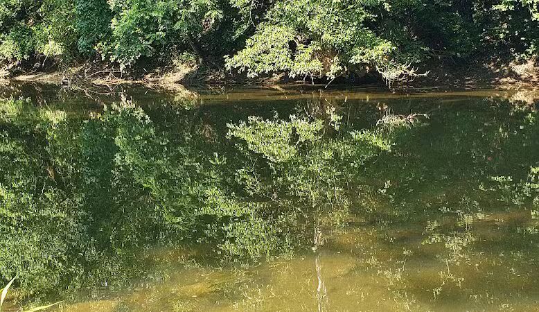 Whitehall Community Park - Columbus, OH