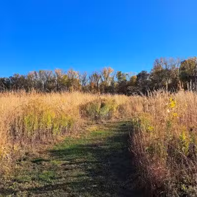 Whitehall Community Park - Columbus, OH