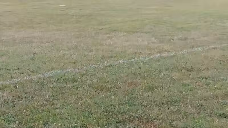 Willis Park - Columbus, OH