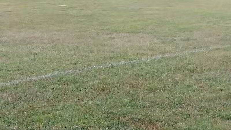 Willis Park - Columbus, OH