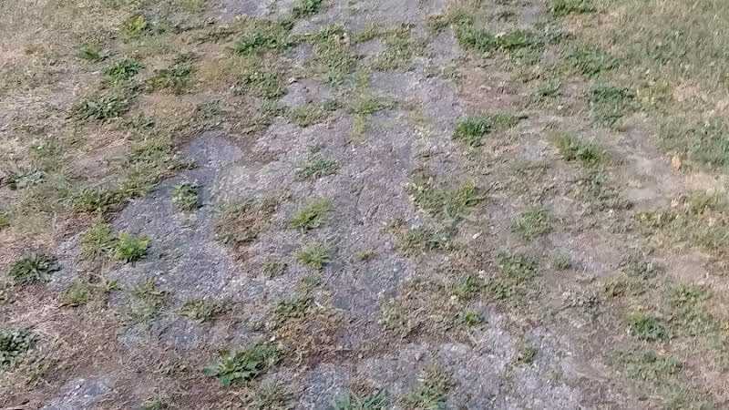 Willis Park - Columbus, OH