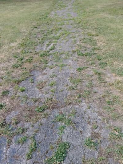 Willis Park - Columbus, OH