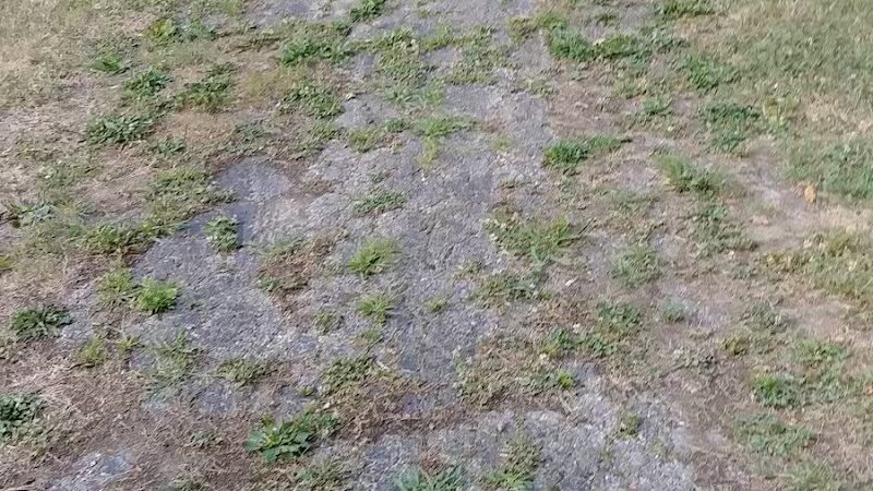 Willis Park - Columbus, OH