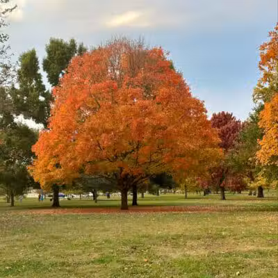 Wolfe Park - Columbus, OH
