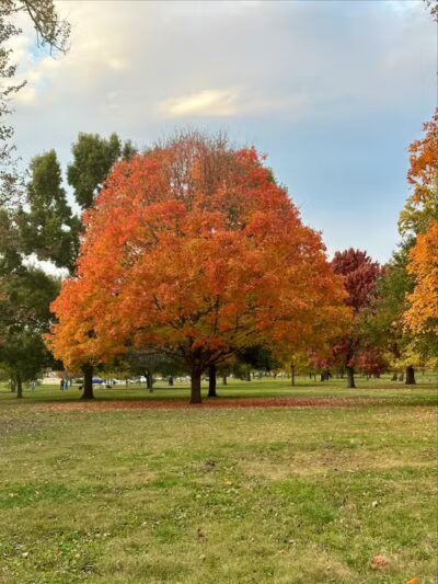 Wolfe Park - Columbus, OH