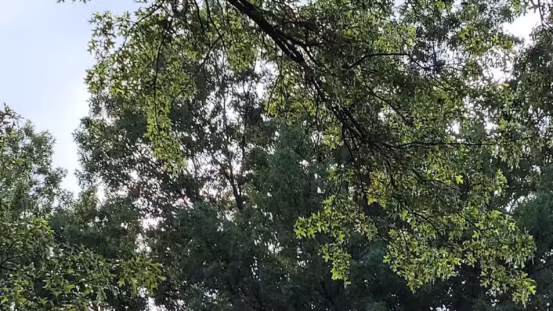 Woodward Park - Columbus, OH