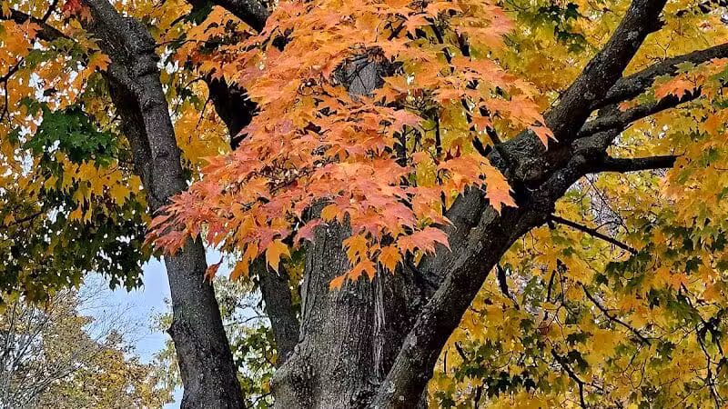 Woodward Park - Columbus, OH