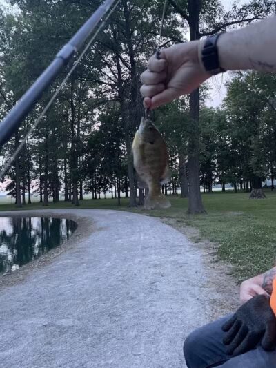 Edgewood Park - Convoy, OH