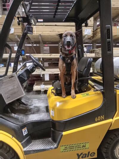 Conley's K9 Center - Coolville, OH