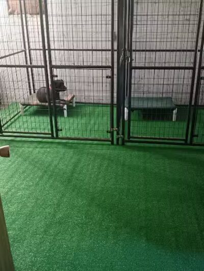 Conley's K9 Center - Coolville, OH