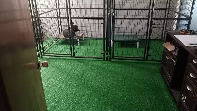 Conley's K9 Center - Coolville, OH