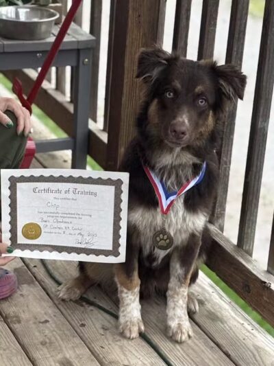 Conley's K9 Center - Coolville, OH