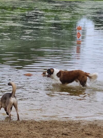 Cooperation Station Dog Park - Cortland, OH